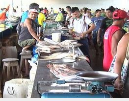 Acari e pirarucu entram no período do defeso.